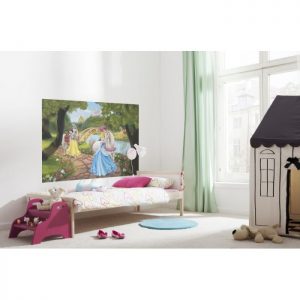 1-454 "PRINCESS ROYAL GALA" DISNEY ΦΩΤΟΤΑΠΕΤΣΑΡΙΑ