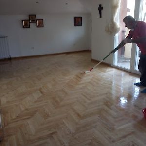 ψαροκόκαλο δρυς Κολλητό