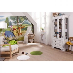 4-411 "WINNIE EXPEDITION" DISNEY ΦΩΤΟΤΑΠΕΤΣΑΡΙΑ