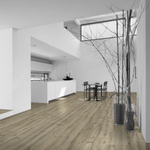 DD-POLARIS 691M Βιομηχανικό - Επαγγελματικό πλαστικό δάπεδο/τ.μ.