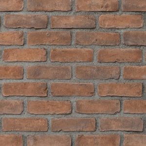 Η Σειρά BRICK