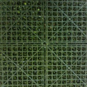 3D panel καθετος κηπος 640606