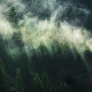 01 Ψηφιακή ταπετσαρία "Misty Crowns" Χ7-1003