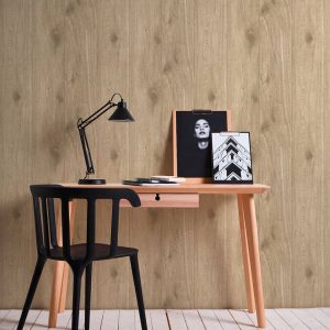 Συλλογή: « Best of Wood&Stone 2 » Ταπετσαρία μη υφασμένη AS Création 300434