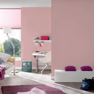 Συλλογή: " Dream Flowery " Ταπετσαρία μη υφασμένη AS Création 383167