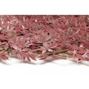 ΠΤΥΣΣΟΜΕΝΗ ΠΕΡΓΚΟΛΑ MIAMI 100 Χ 200 MZ186003B