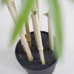 BAMBOO NP6321_180_22 ΥΨΟΣ 180cm