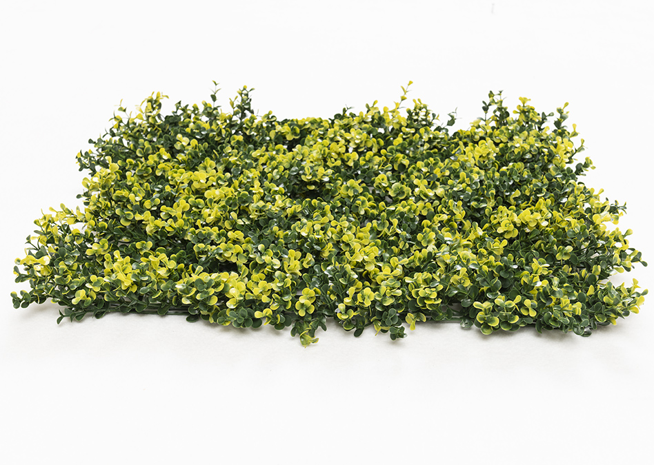 6-11-mz188003α50x50_2