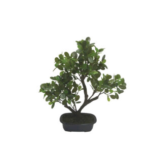 ΔΕΝΤΡΟ ΜΠΟΝΣΑΪ ΣΕ ΠΛΑΣΤΙΚΗ ΓΛΑΣΤΡΑ ΠΡΑΣΙΝΟ - 21x37x39cm 4/ΚΙΒ Κωδικός: 04-95064 ΜΧ :2415 50