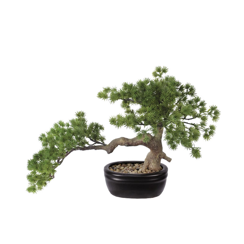 ΔΕΝΤΡΟ ΜΠΟΝΣΑΪ ΣΕ ΠΛΑΣΤΙΚΗ ΓΛΑΣΤΡΑ ΠΡΑΣΙΝΟ - 45x25x27cm 4/ΚΙΒ Κωδικός: 04-95065 ΜΧ :2416 50