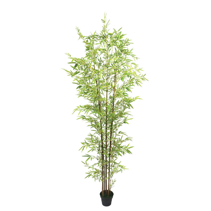 ΔΕΝΤΡΟ ΜΠΑΜΠΟΥ REAL TOUCH ΣΕ ΓΛΑΣΤΡΑ - Y270cm 2/ΚΙΒ Κωδικός: 04-95066 ΜΧ :2488 50