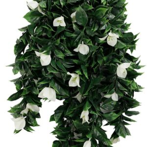 ΚΡΕΜΑΣΤΟ ΦΥΤΟ CUBA (SET 10ΤΜΧ) 75cm 019DGWF BOUGAINVILLEA WHITE