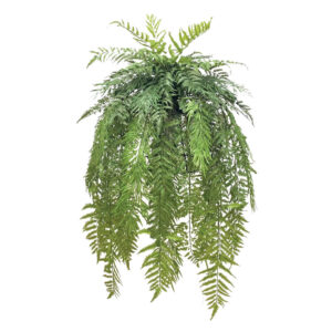 ΚΡΕΜΑΣΤΗ ΦΤΕΡΗ ΠΡΑΣΙΝΗ ΣΕ ΜΕΤΑΛΛΙΚΗ ΒΑΣΗ - 50x122cm 4/ΚΙΒ Κωδικός: 00-99917 ΜΧ :2472 00