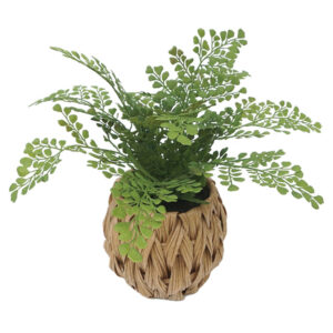 ΦΤΕΡΗ ΣΕ ΠΛΕΚΤΟ ΠΛΑΣΤΙΚΟ ΚΑΛΑΘΙ ΚΑΦΕ-ΠΡΑΣΙΝΟ - Φ32x30cm 6/48ΚΙΒ Κωδικός: 04-95041 ΜΧ :247 00