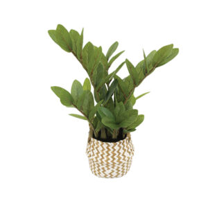 ΖΑΜΙΑ REAL TOUCH ΣΕ ΚΑΣΠΩ ΨΑΘΑ ΠΡΑΣΙΝΟ - Φ25x45cm 6/ΚΙΒ Κωδικός: 04-95042 ΜΧ :2416 00