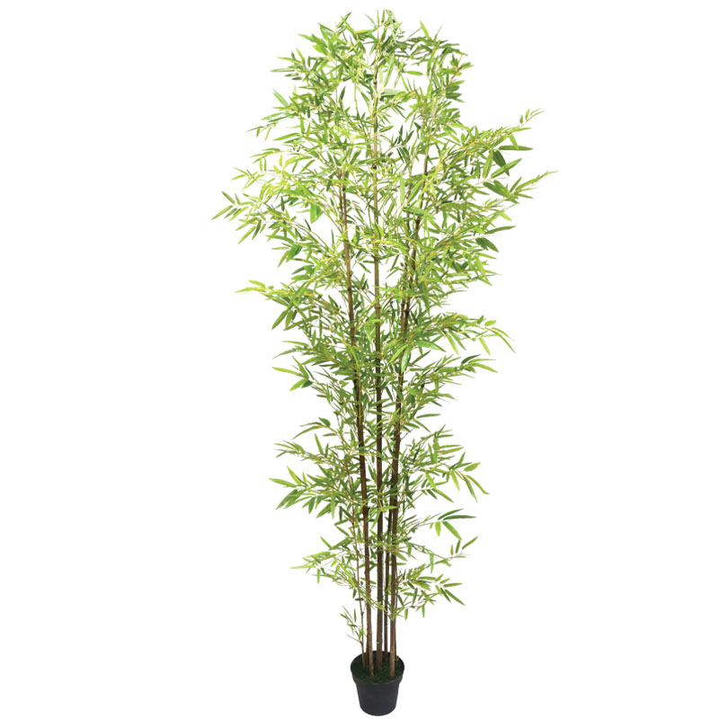 ΔΕΝΤΡΟ ΜΠΑΜΠΟΥ REAL TOUCH ΣΕ ΓΛΑΣΤΡΑ - Y300cm 2/ΚΙΒ Κωδικός: 04-95067 ΜΧ :24130 50