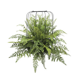 ΚΡΕΜΑΣΤΗ ΦΤΕΡΗ ΠΡΑΣΙΝΗ ΣΕ ΜΕΤΑΛΛΙΚΗ ΒΑΣΗ - Φ66x68cm 4/ΚΙΒ Κωδικός: 04-99918 ΜΧ :2449 00