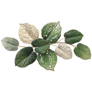 ΜΕΤΑΛΛΙΚΟ ΔΙΑΚΟΣΜΗΤΙΚΟ ΤΟΙΧΟΥ ΜΕ ΦΥΛΛΑ - 84.5x46.4x5.7cm 4/ΚΙΒ Κωδικός: 15-94967 ΜΧ :2424 10