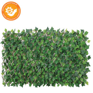 ΠΕΡΓΟΛΑ ΠΤΥΣΣΟΜΕΝΗ