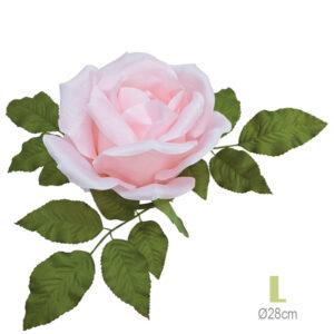 ΛΟΥΛΟΥΔΙΑ ΓΙΓΑΣ