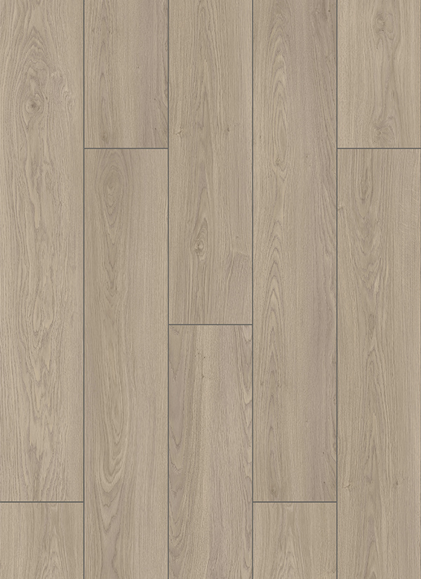 LAMINATE ΠΑΤΩΜΑ ALFA WOOD BASIC LINE 104 GREY OAK MATT AC3