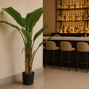 BANANA TREE NP702_145 ΥΨΟΣ 145cm