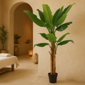 BANANA TREE NP708_220 ΥΨΟΣ 220cm