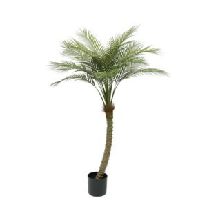 ΔΕΝΤΡΟ ΦΟΙΝΙΚΑΣ REAL TOUCH ΣΕ ΓΛΑΣΤΡΑ - 155cm 4/ΚΙΒ Κωδικός: 04-95075 ΜΧ :2439 00