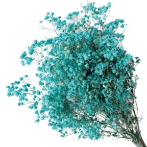 ΑΠΟΞΗΡΑΜΕΝA ΚΛΑΔΙΑ ΚΥΑΝΟ ΓΥΨΟΦΥΛΗ ΜΑΤΣΟ 100gr - Υ70-80cm 30/ΚΙΒ Κωδικός: 00-68897-7 ΜΧ :244 20