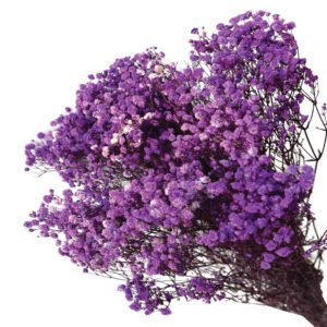 ΑΠΟΞΗΡΑΜΕΝA ΚΛΑΔΙΑ ΜΩΒ ΓΥΨΟΦΥΛΗ ΜΑΤΣΟ 100gr - Υ70-80cm 30/ΚΙΒ Κωδικός: 00-68897-8 ΜΧ :244 20